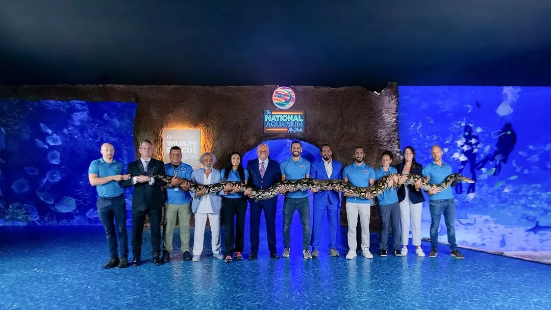 Group holding a large snake at National Aquarium Abu Dhabi.
