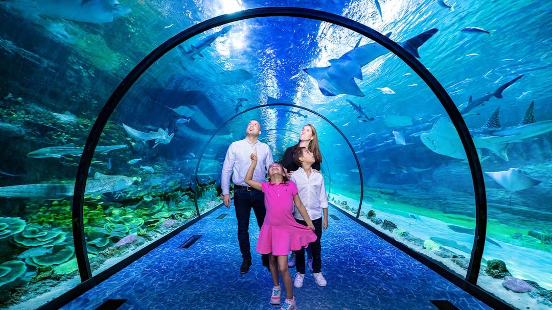 Family exploring underwater tunnel at National Aquarium Abu Dhabi with sharks and rays overhead.