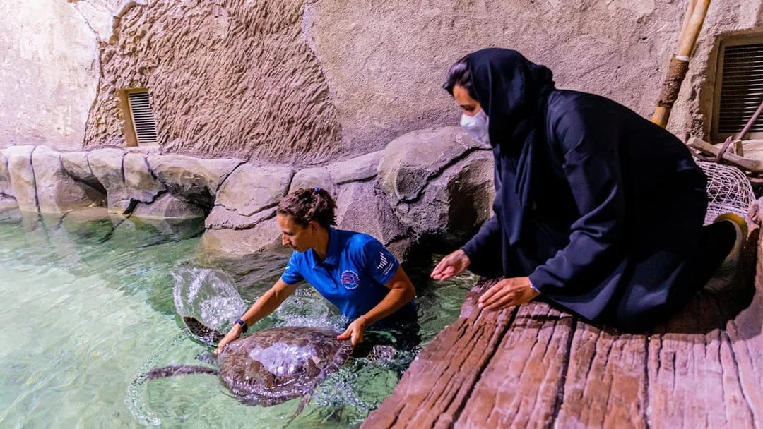 National Aquarium Abu Dhabi All Access Pass Tickets