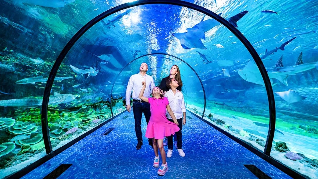 Family exploring underwater tunnel at National Aquarium Abu Dhabi with sharks swimming above.