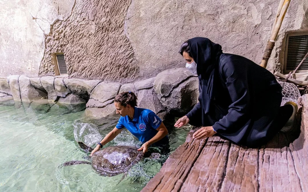 National Aquarium Abu Dhabi Tickets Image 10