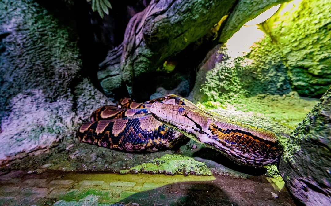 National Aquarium Abu Dhabi Tickets Image 11