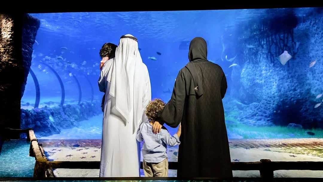 Family observing marine life at National Aquarium Abu Dhabi.