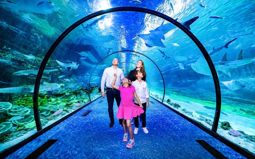 National Aquarium Abu Dhabi Tickets Image 3