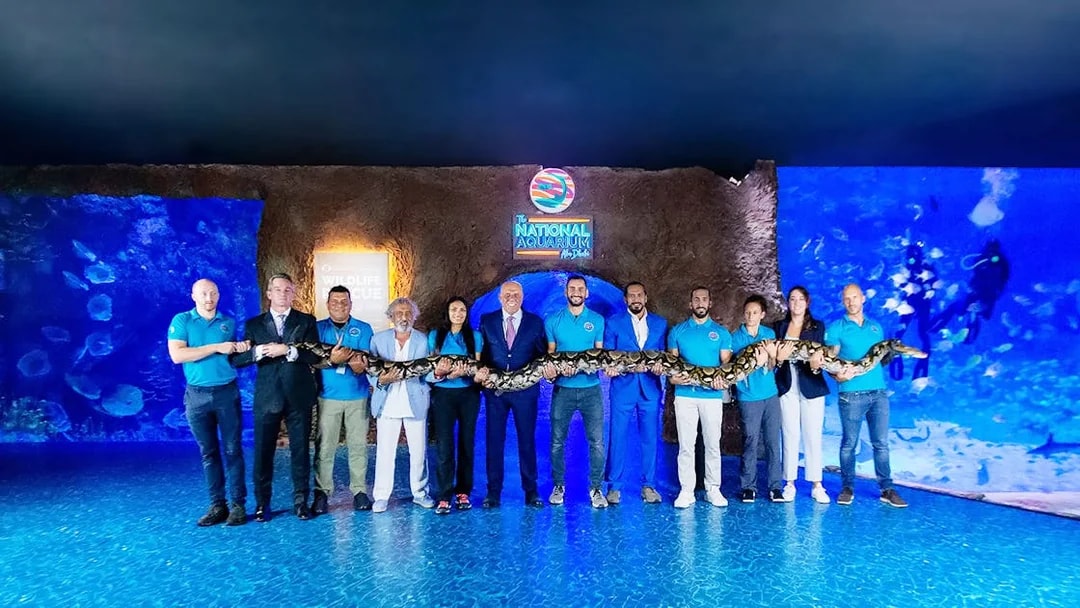 Staff holding a large snake at the National Aquarium Abu Dhabi.