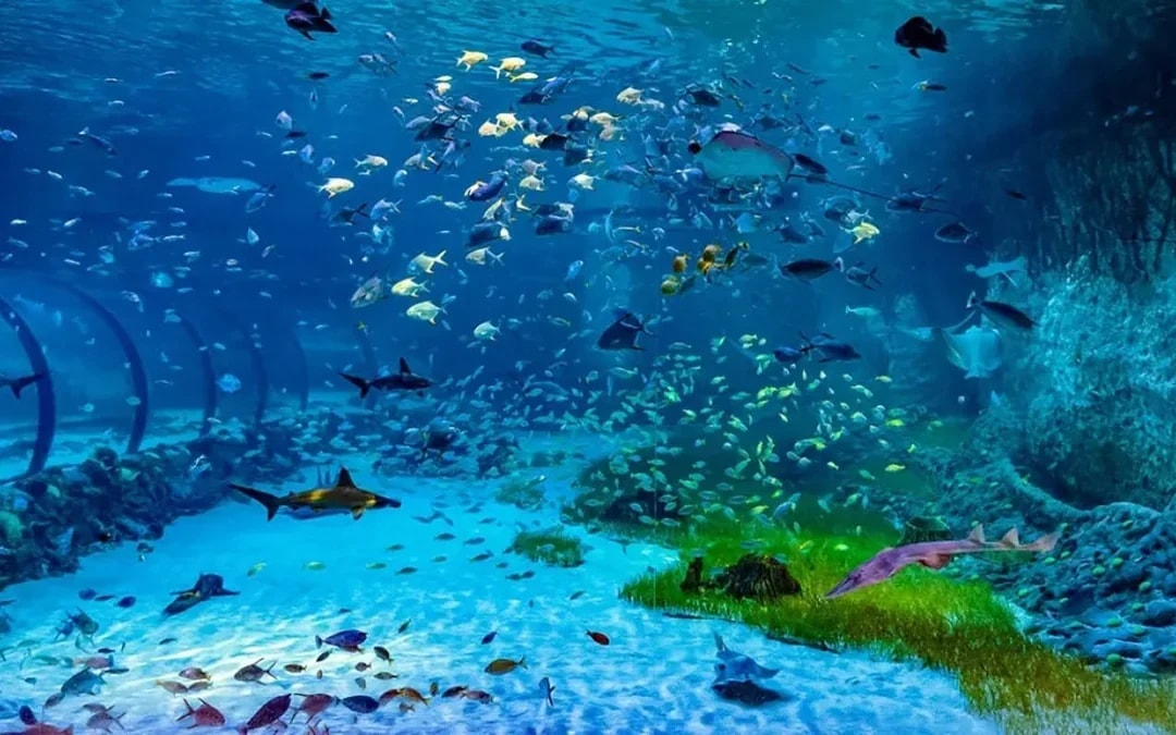 National Aquarium Abu Dhabi Tickets Image 7