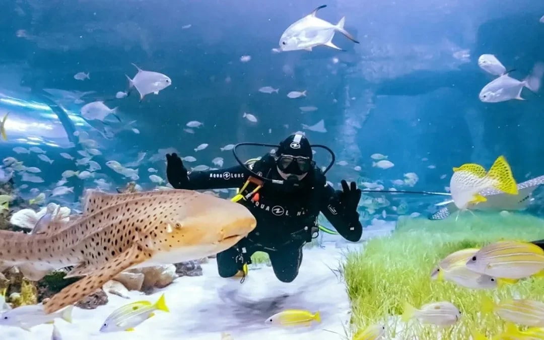National Aquarium Abu Dhabi Tickets Image 8