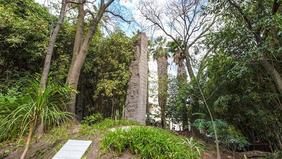 Stone monolith surrounded by trees at the National Museum of Anthropology, Mexico City.