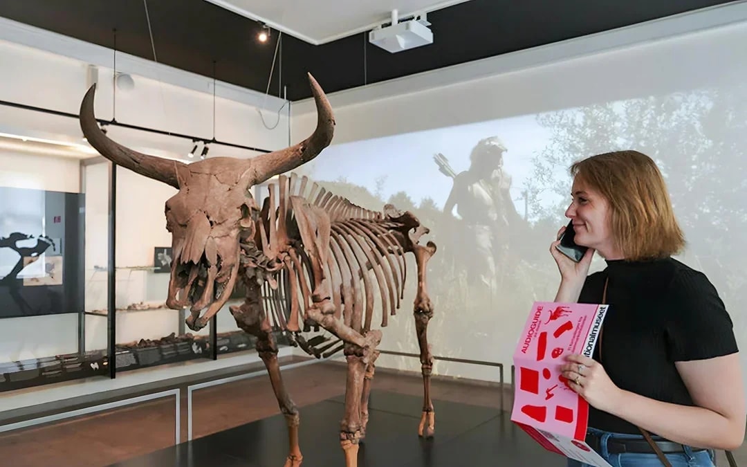 National Museum of Denmark Entry Tickets Image 2