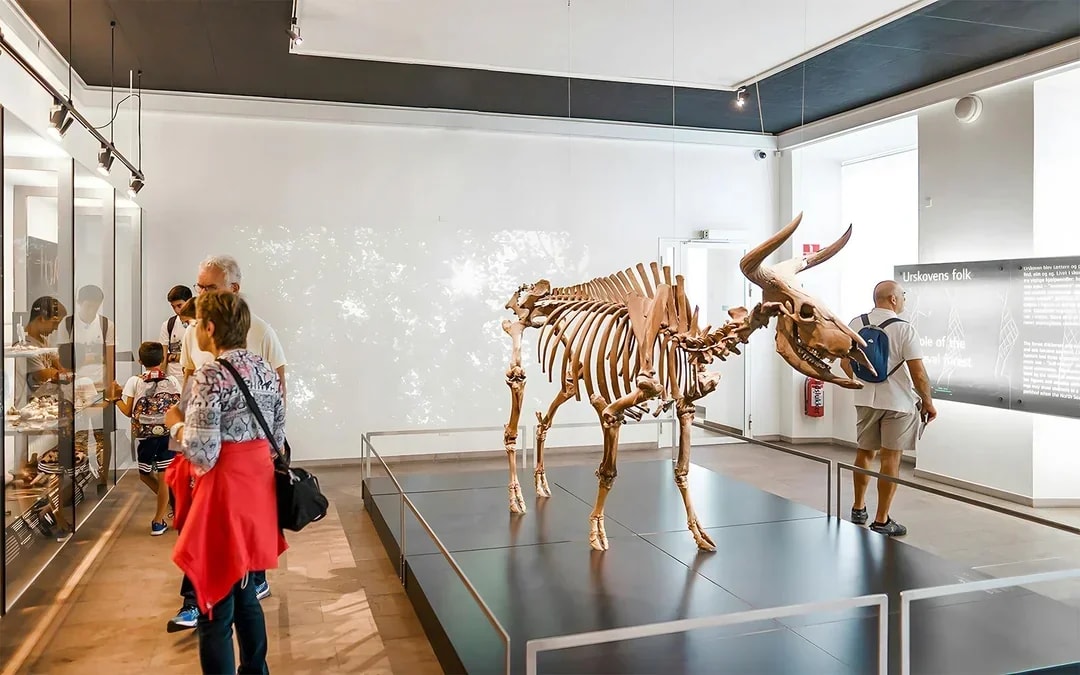 National Museum of Denmark Entry Tickets Image 9