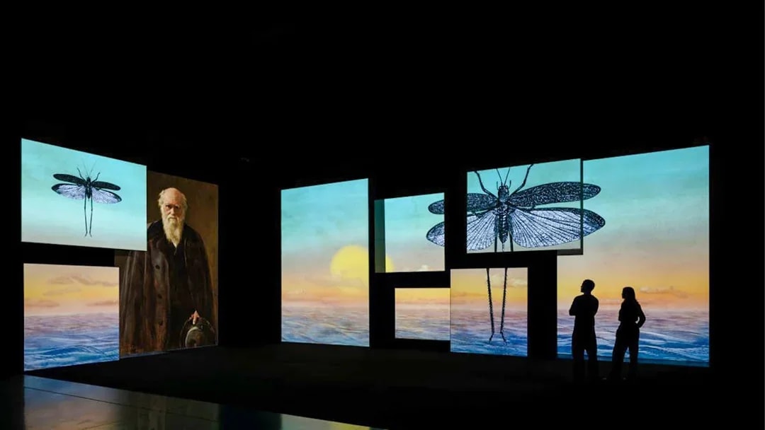 Visitors viewing diverse digital portraits in a modern gallery, London.