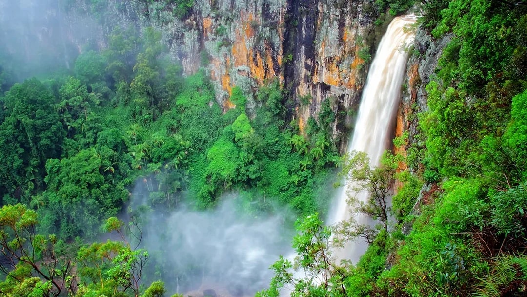 Waterfall cascading over lush cliffs in Springbrook National Park, Australia.