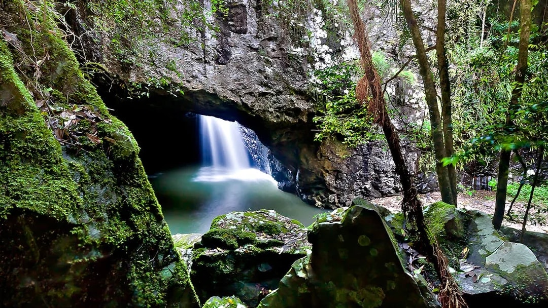 Natural Bridge waterfall flowing through rock arch in Springbrook National Park.