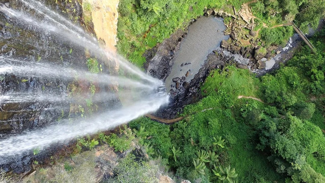 Aerial view of waterfall and lush greenery on the Natural Bridge & Springbrook Waterfalls Tour.