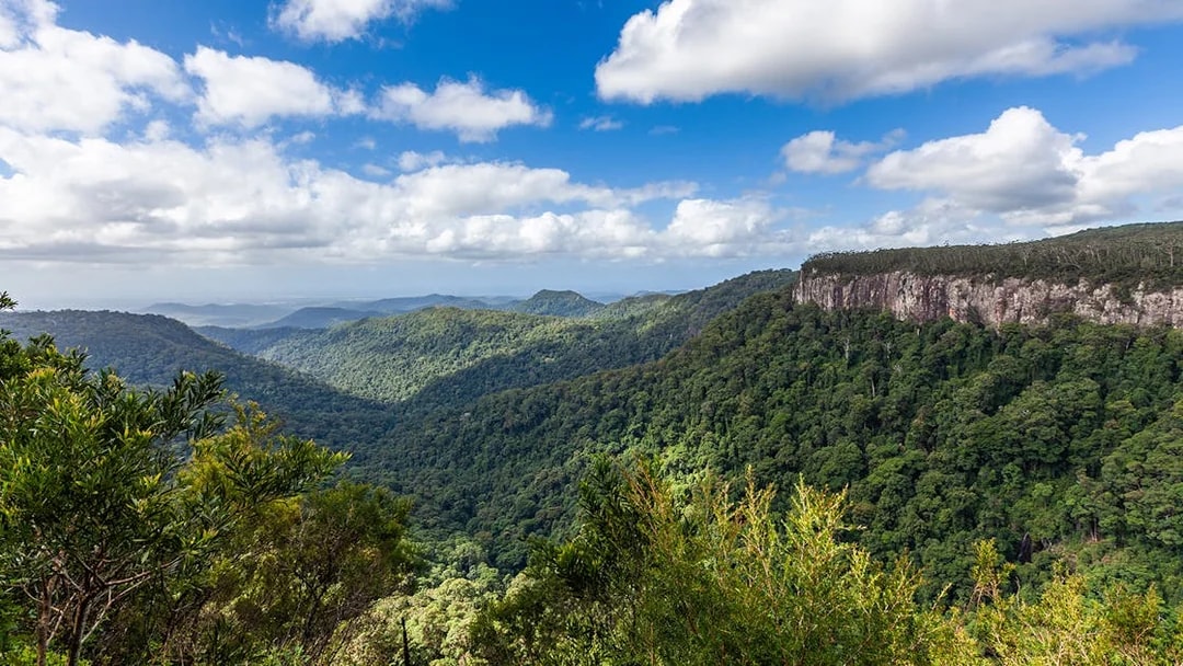 Springbrook National Park lush green landscape with distant cliffs under a blue sky.