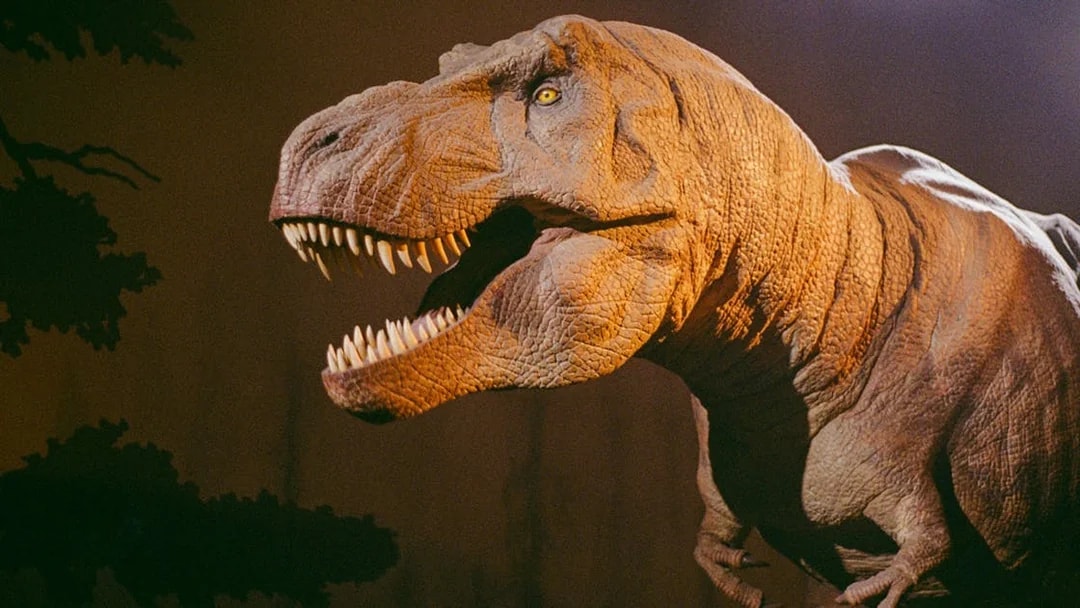 Tyrannosaurus rex model at the Natural History Museum, London, United Kingdom.