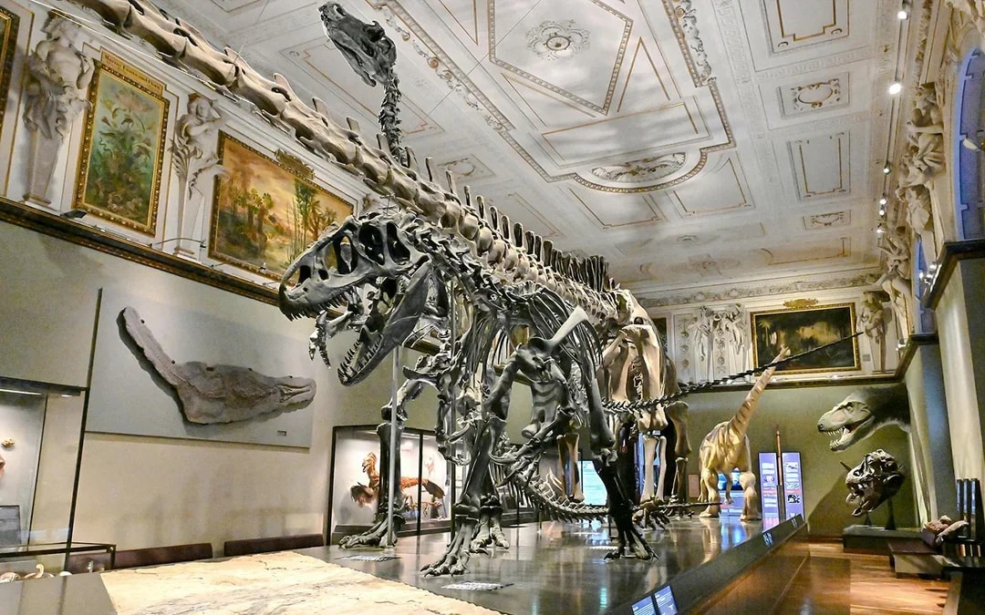 Natural History Museum Vienna Entry Tickets Image 3