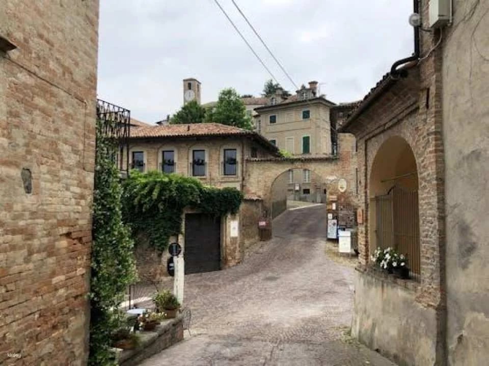 Neive Walking Tour with Winetasting