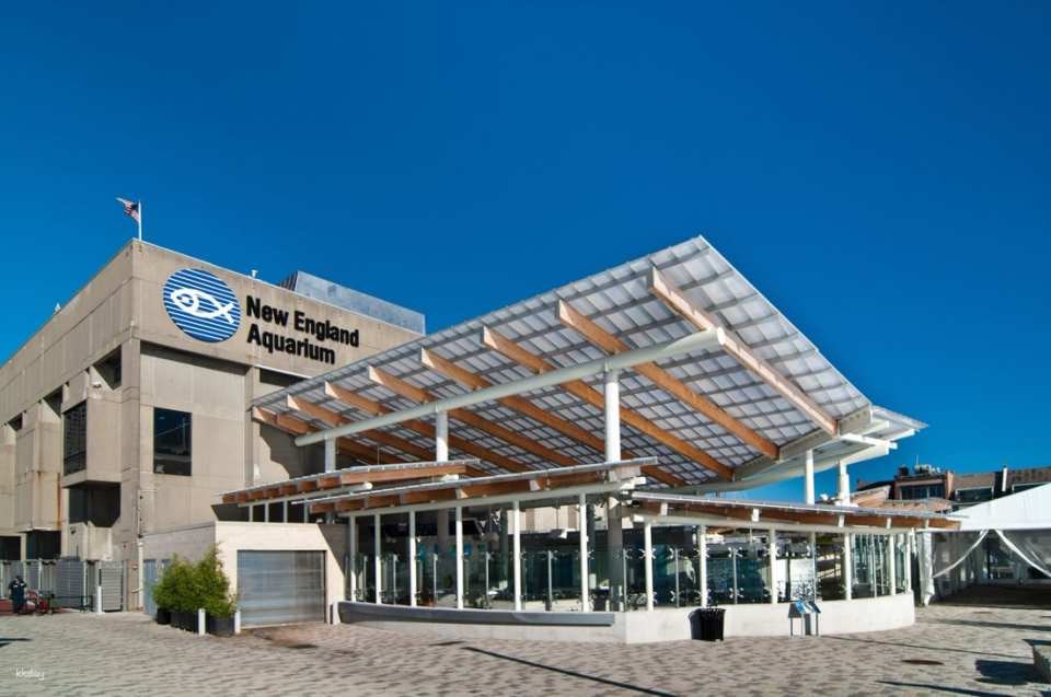 New England Aquarium Ticket & Optional 3D IMAX Movie Ticket | Boston