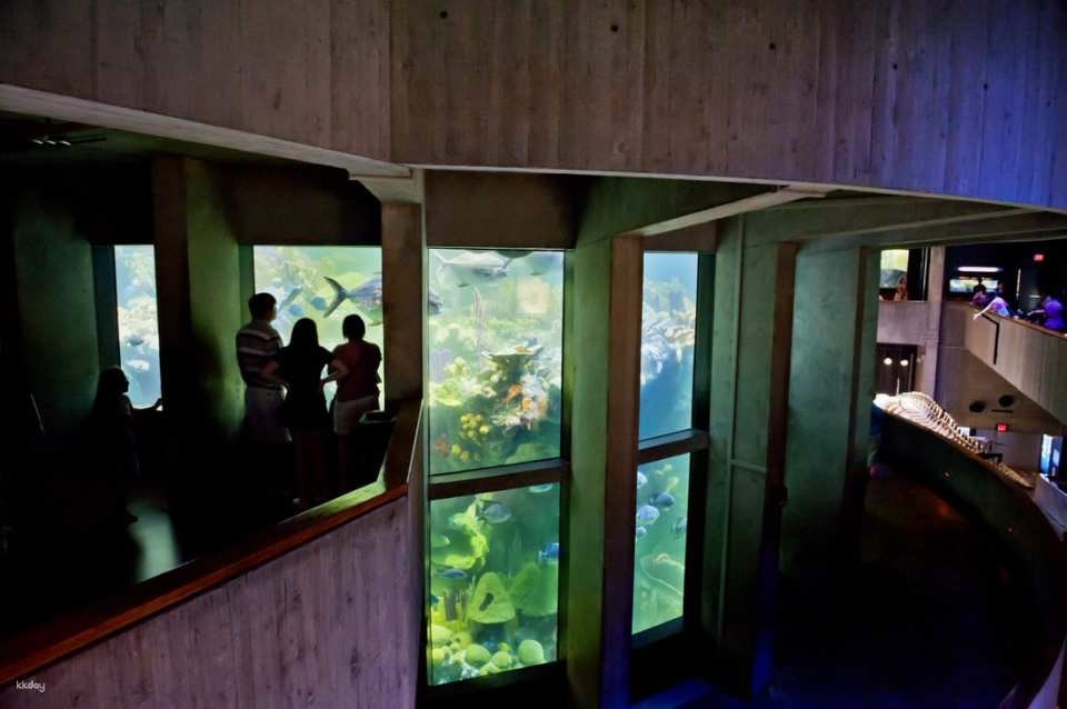 New England Aquarium Ticket & Optional 3D IMAX Movie Ticket | Boston