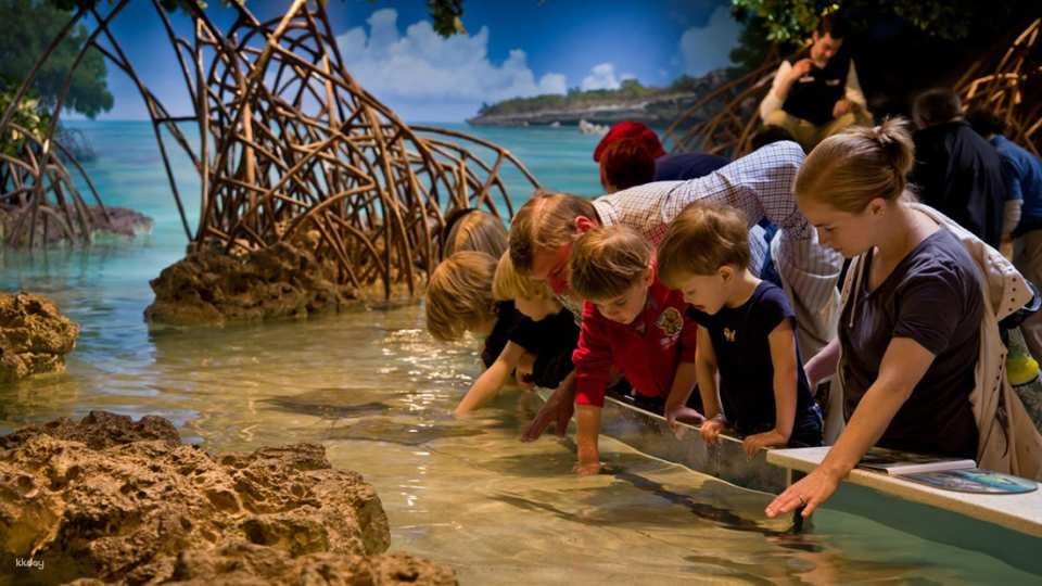 New England Aquarium Ticket & Optional 3D IMAX Movie Ticket - Boston