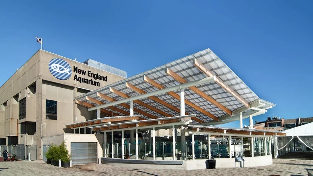 New England Aquarium exterior with modern glass and wood design.