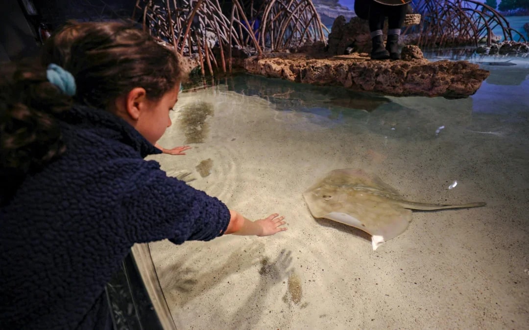 New England Aquarium Tickets Image 5