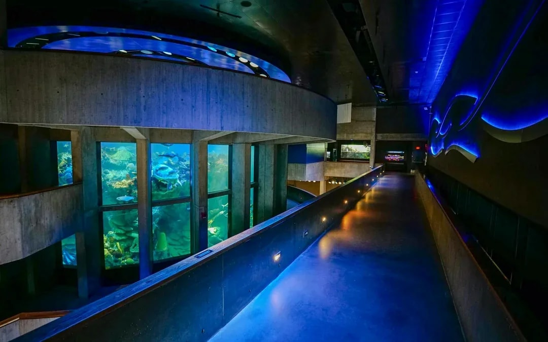 New England Aquarium Tickets Image 6