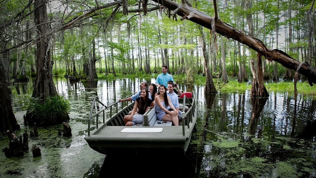 Boat tour through New Orleans swamp with group exploring cypress trees.