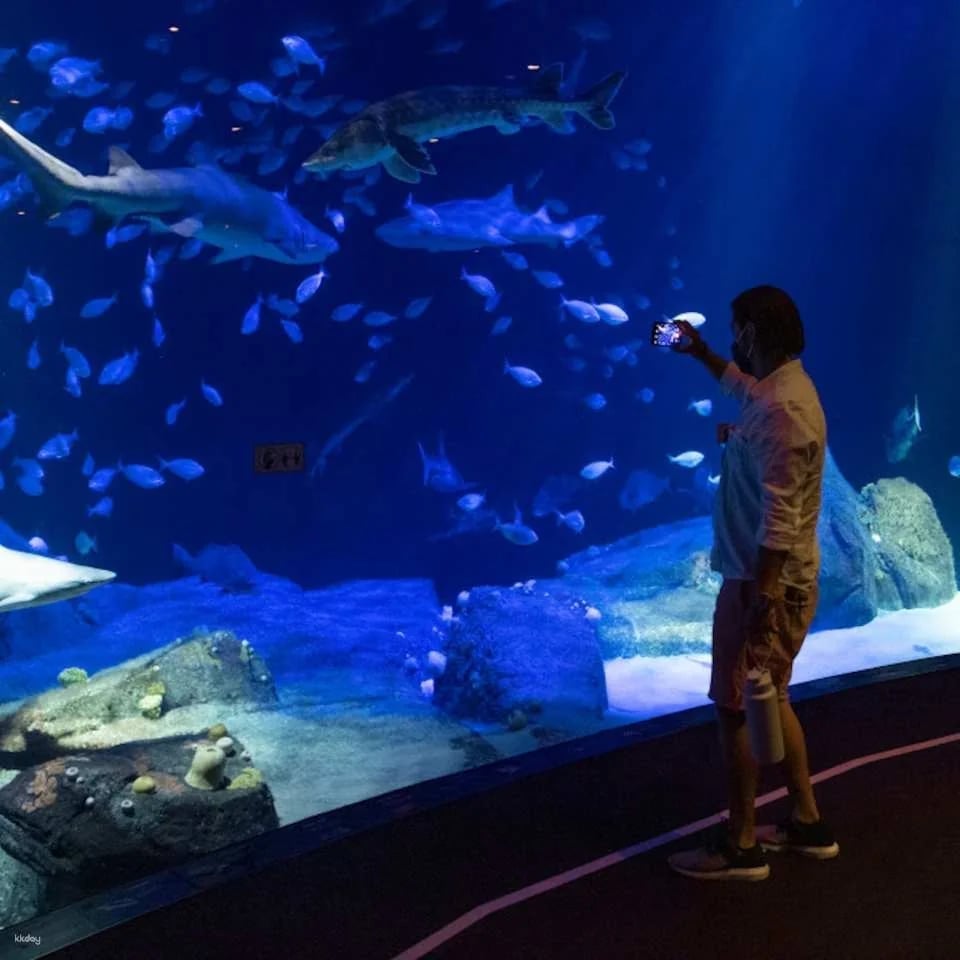 New York Aquarium Ticket - New York
