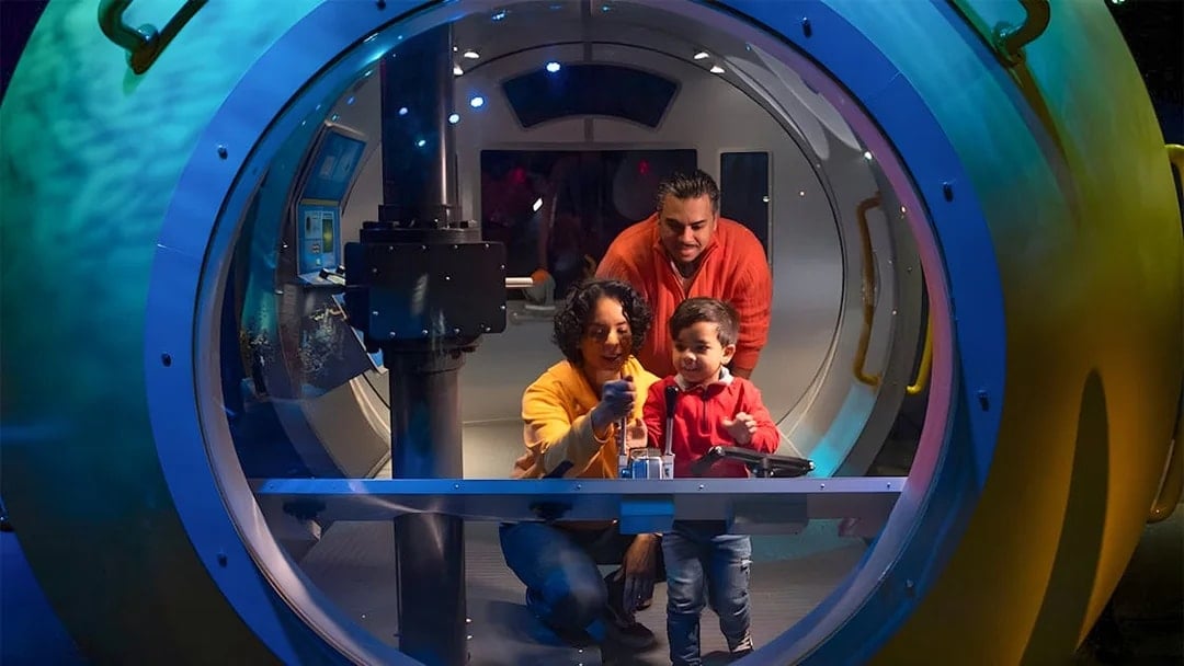 New York Aquarium Tickets with 4D Theatre Show