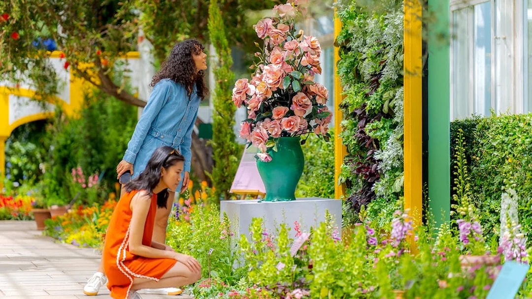 Guests exploring vibrant floral displays at New York Botanical Garden.
