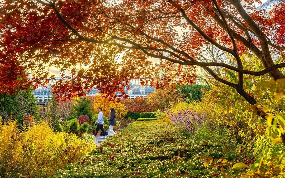 New York Botanical Garden Tickets Image 8