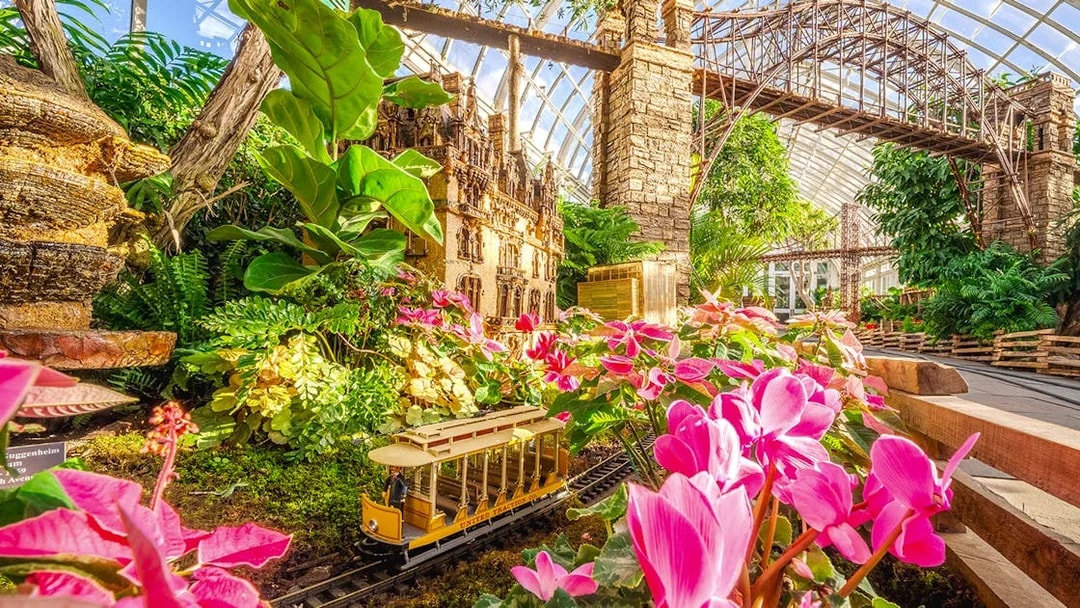 Miniature train passing through vibrant flowers at the Holiday Train Show, New York Botanical Gardens.