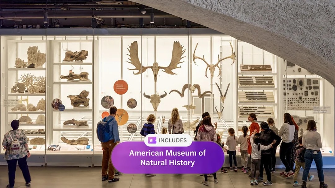 Visitors viewing fossil exhibits at the American Museum of Natural History, New York City.