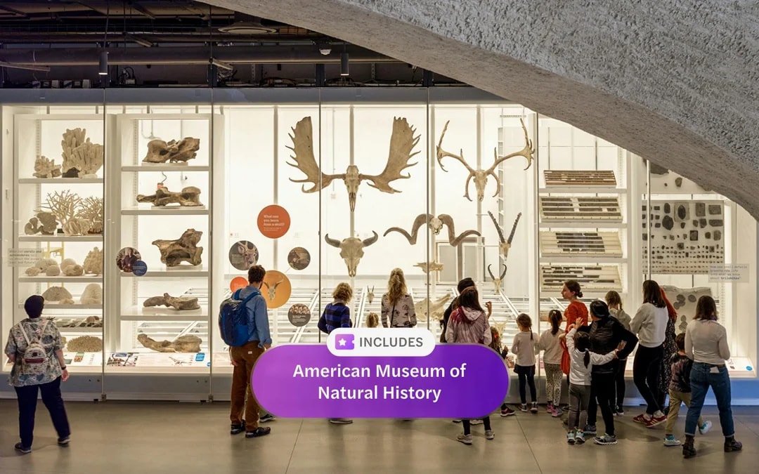 New York CityPASS®: Choose 5 Attractions Image 4
