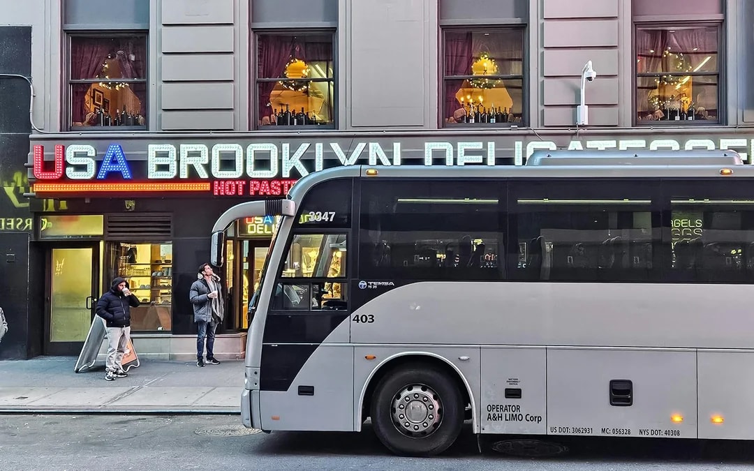 New York Dyker Heights Christmas Lights Bus Tour Image 2
