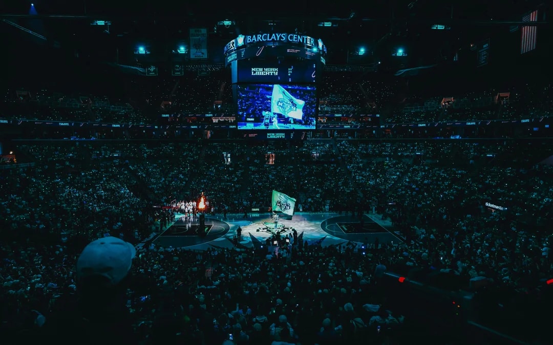New York Liberty Image 6