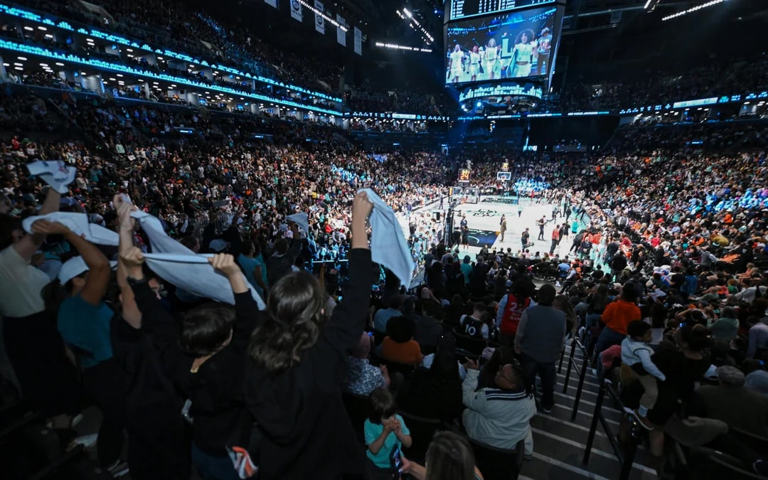 New York Liberty Image 8