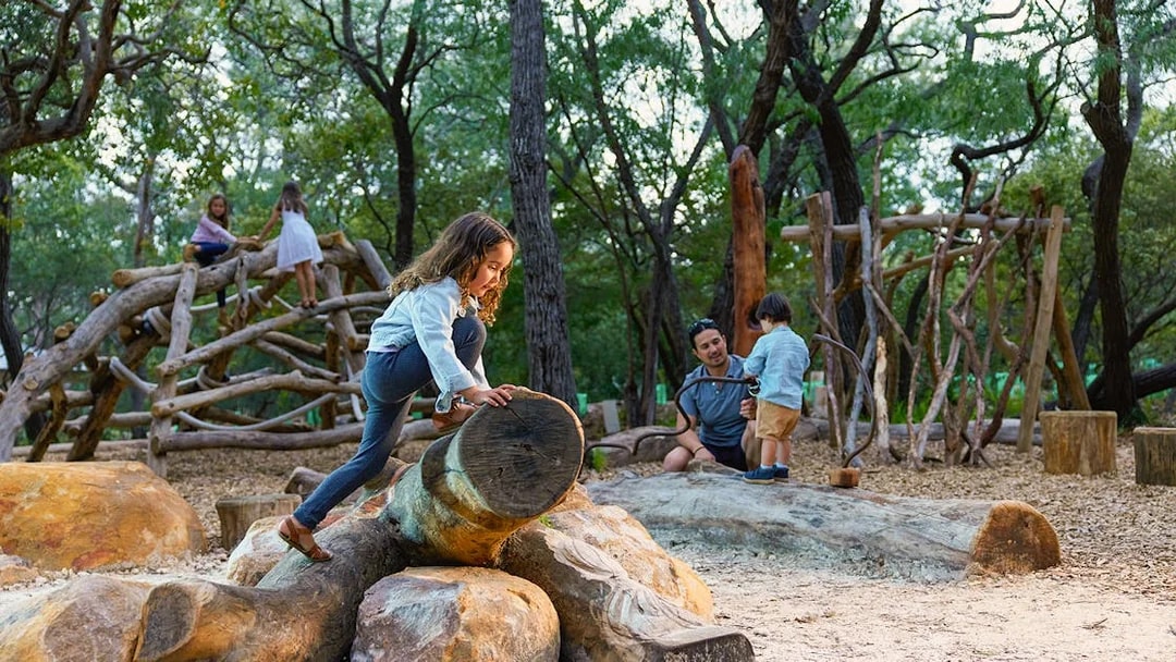 Children playing on wooden structures in a forest setting, Ngilgi Cave Ancient Lands Experience.