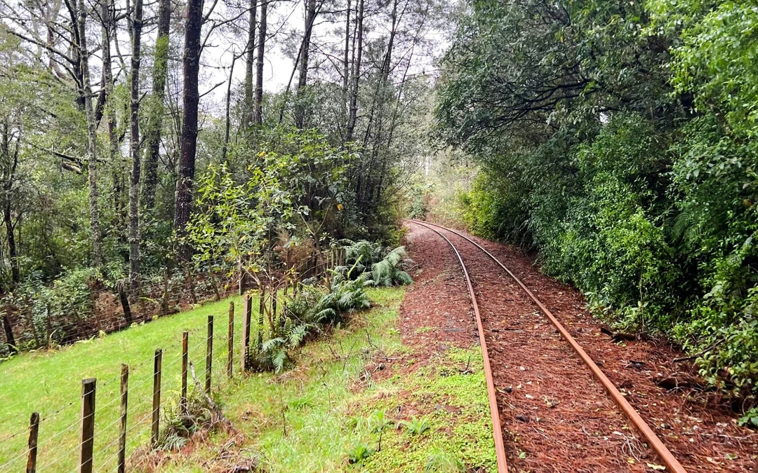 Ngongotaha Ultimate Journey: 2-Hour Self-Drive Rail Car Image 3