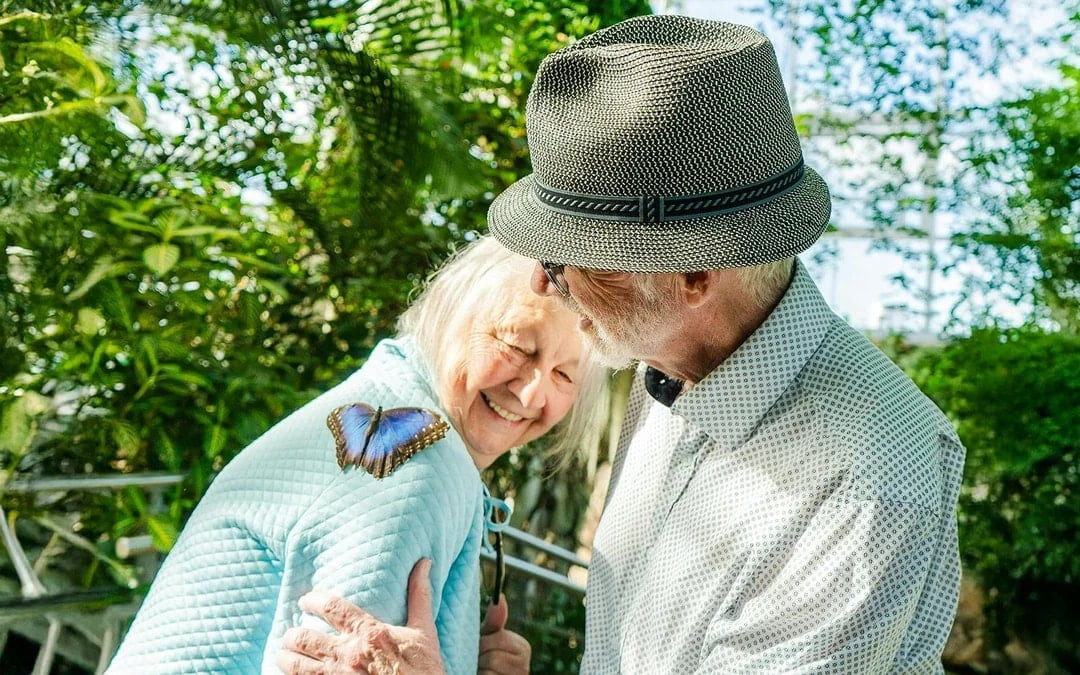 Niagara Falls Canada: Butterfly Conservatory Tickets Image 1