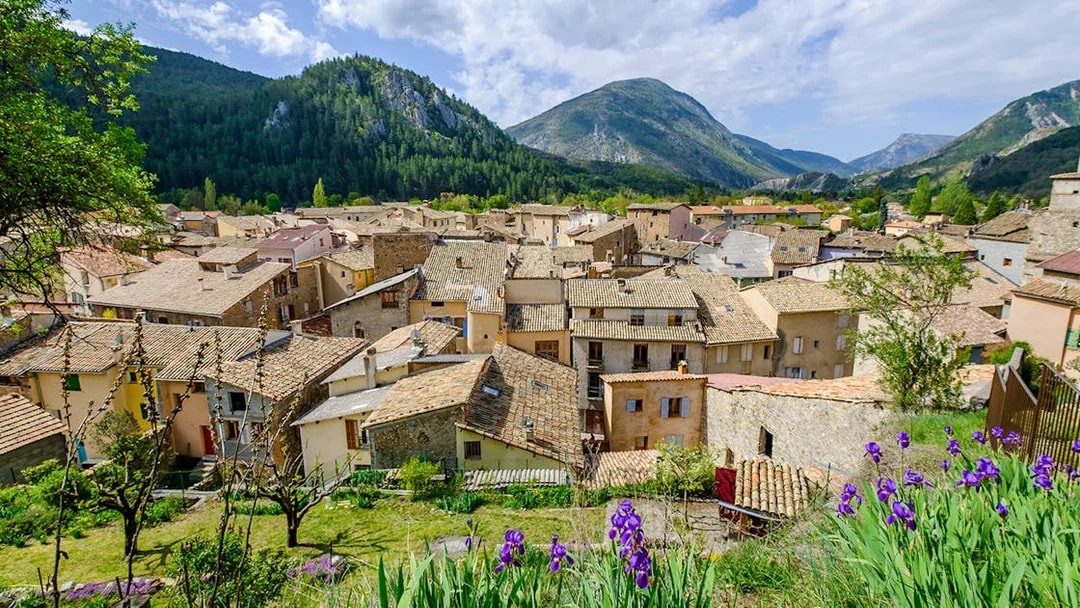 Castellane village rooftops with surrounding mountains and purple flowers in the foreground.