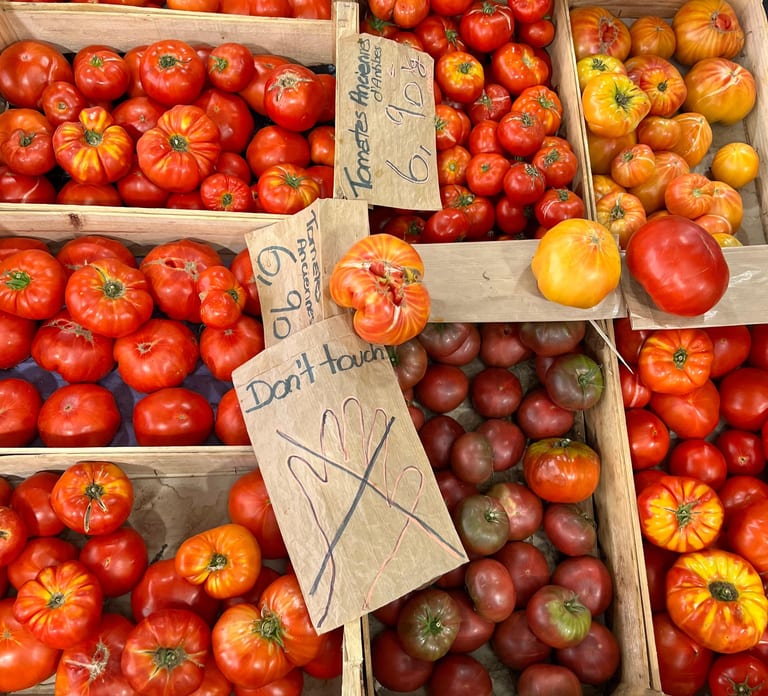 Nice: Old Town & Local Markets Food Tour with 9+ Tastings
