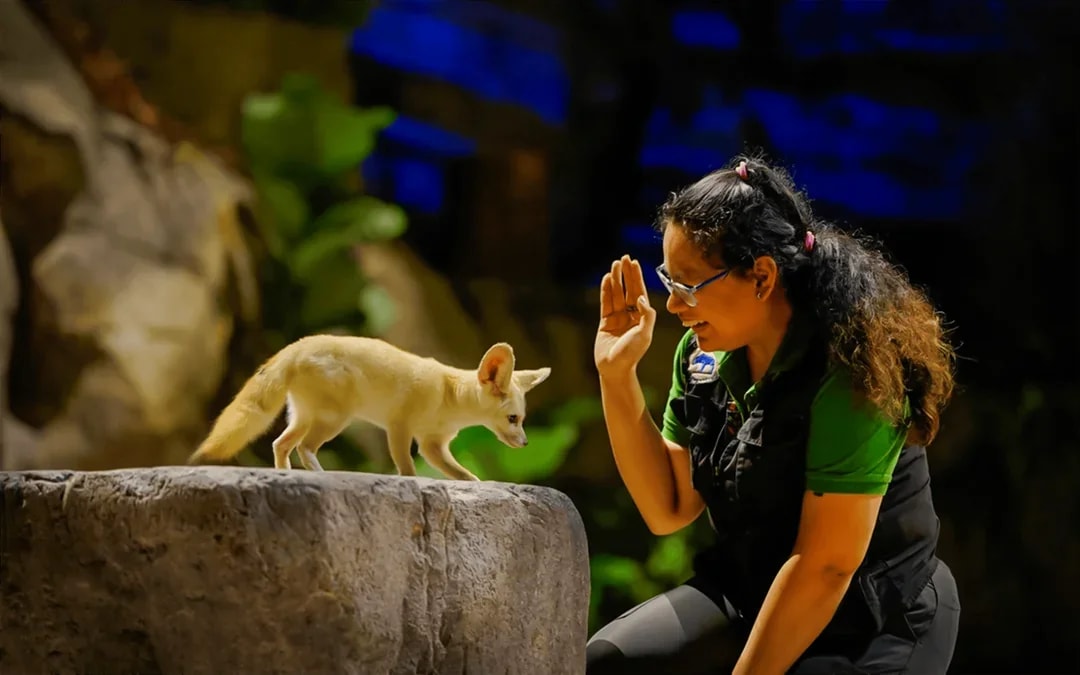 Night Safari Tickets | Mandai Wildlife Reserve Image 10