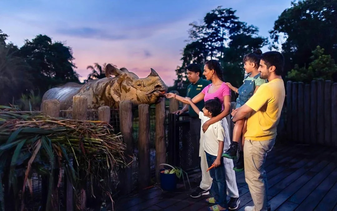 Night Safari Tickets | Mandai Wildlife Reserve Image 12