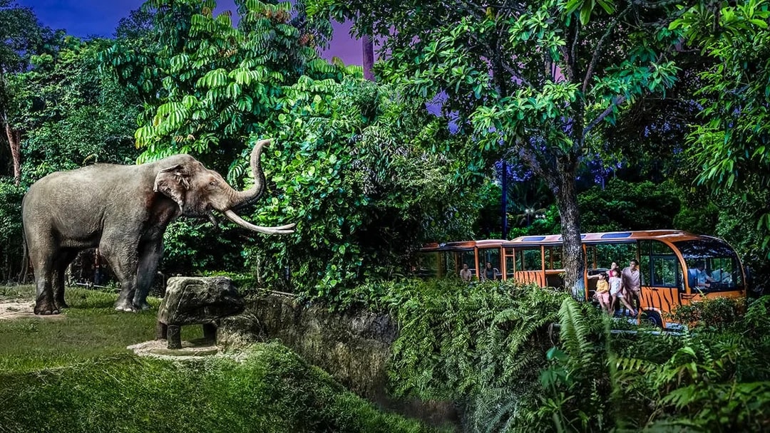 Family on tram viewing elephant at Night Safari, Singapore.