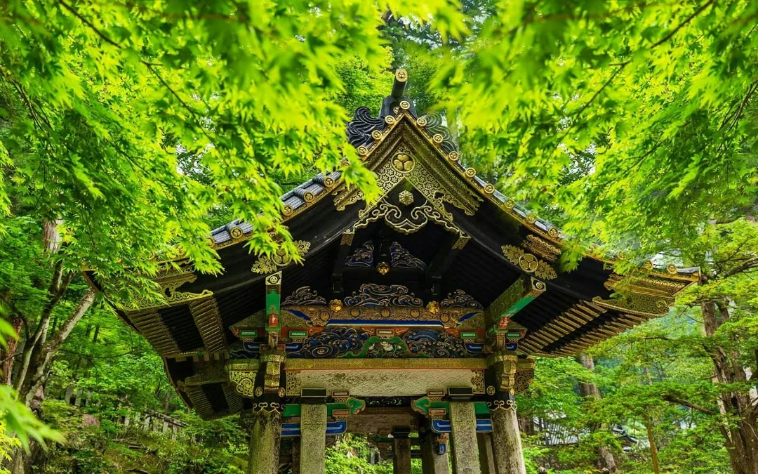 Nikko Toshogu Shrine Admission Ticket Image 7