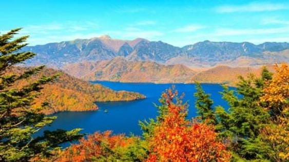 1-day tour to Nikko Toshogu Shrine + Lake Chūzenji: Irohazaka Winding Road/Kegon Waterfalls/Departing from Tokyo Day Tours