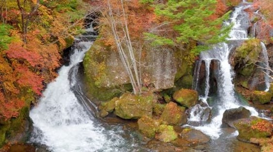 1-day tour to Nikko Toshogu Shrine + Lake Chūzenji: Irohazaka Winding Road/Kegon Waterfalls/Departing from Tokyo Day Tours